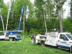 Working in the field